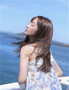 桃花岛盒子4.0破解版