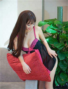 宠物小精灵bw141
